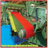 coil steel